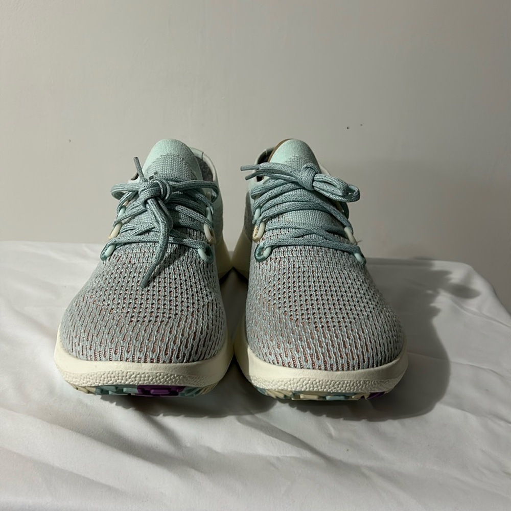 Allbirds Tree Dasher 2 NWOT or box will be shipped in a box
